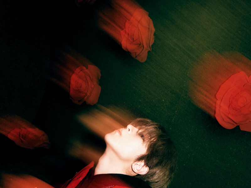 Dingo X BIG Naughty (Single)