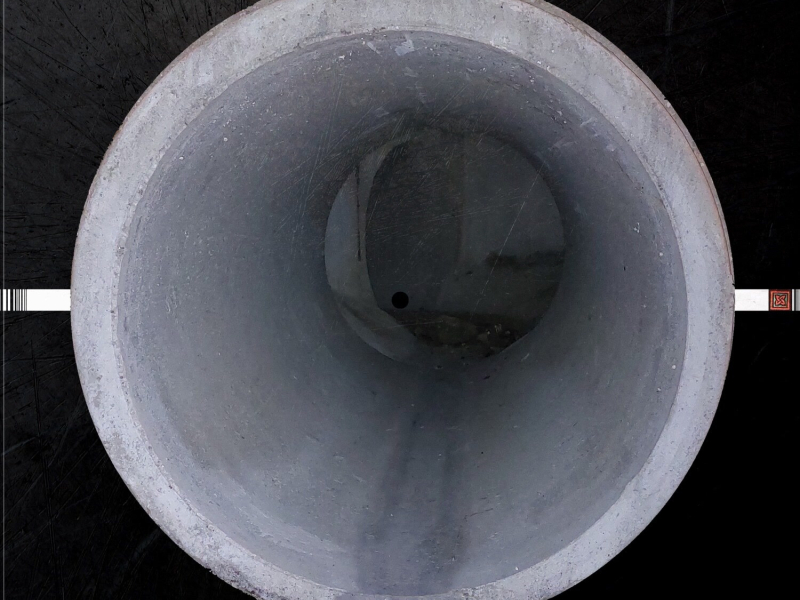 Che La Mia Ferita Sia Mortali