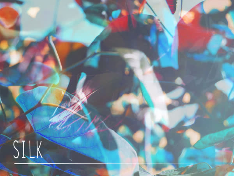 Silk (Single)