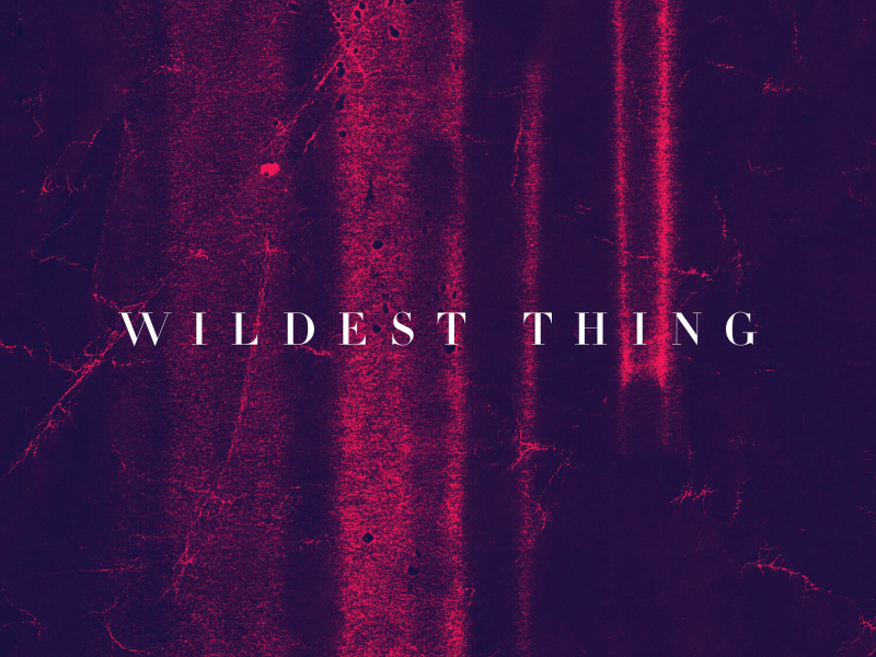 Wildest Thing (EP)