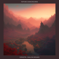 Shallow Grounds (Single)