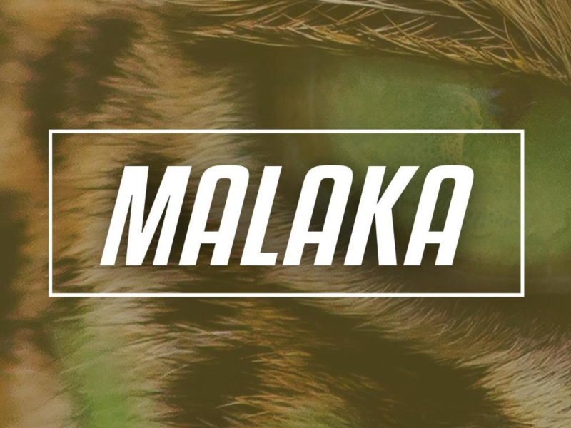 Malaka (Single)