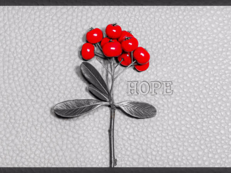 Hope (Single)