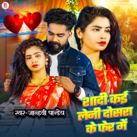 Shadi Kai Leni Dosra Ke Fer Me (Single)