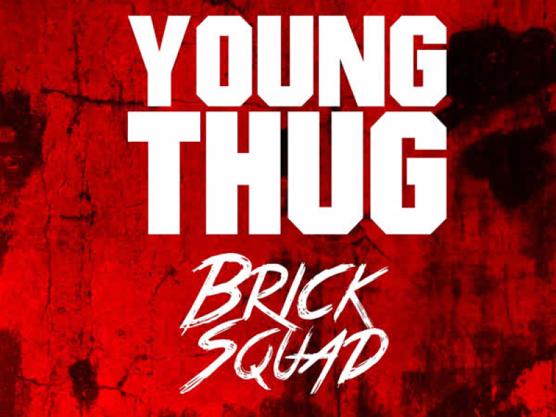 Brick Sqaud