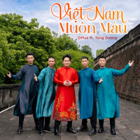 Việt Nam Muôn Màu (Single)