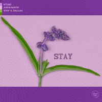 Stay (Single)