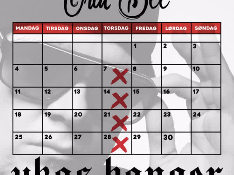 Årets Siste Banger (Single)