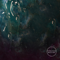 We Are Trouble (Single)