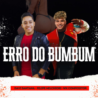 Erro do Bumbum (Single)