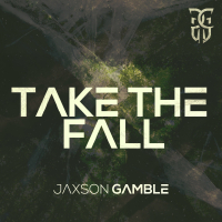Take The Fall (Single)