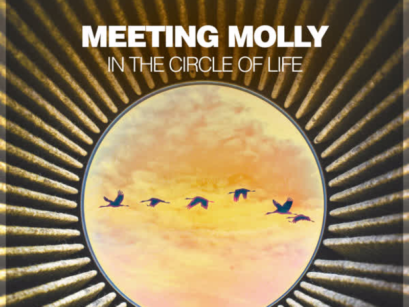 In The Circle Of Life