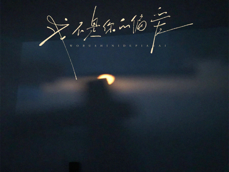 我不是你的偏爱 (Single)