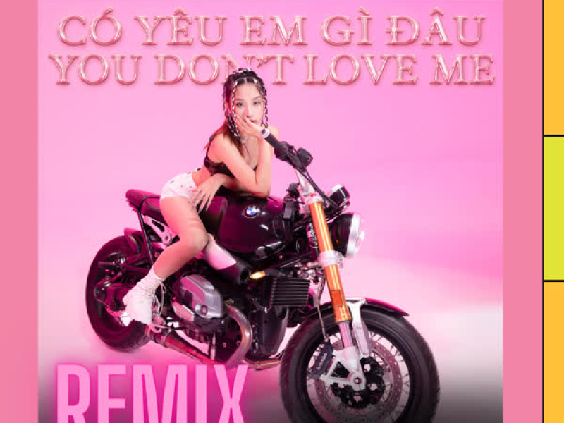 Có Yêu Em Gì Đâu (Remix) (Single)