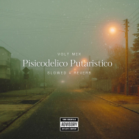 Volt mix Pisicodelico Putaristico (Slowed + Reverb) (Single)