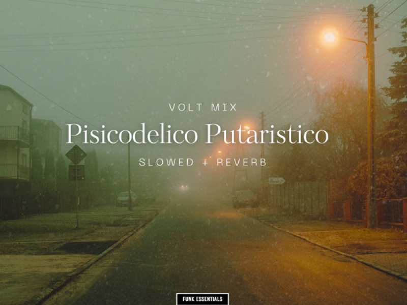 Volt mix Pisicodelico Putaristico (Slowed + Reverb) (Single)