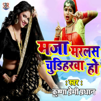 Maza Maralas Chudiharwa Ho (Single)