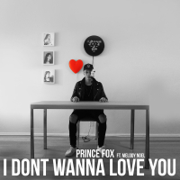 I Don't Wanna Love You (Single)