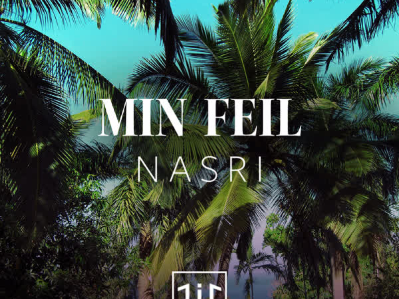 Min feil (Single)