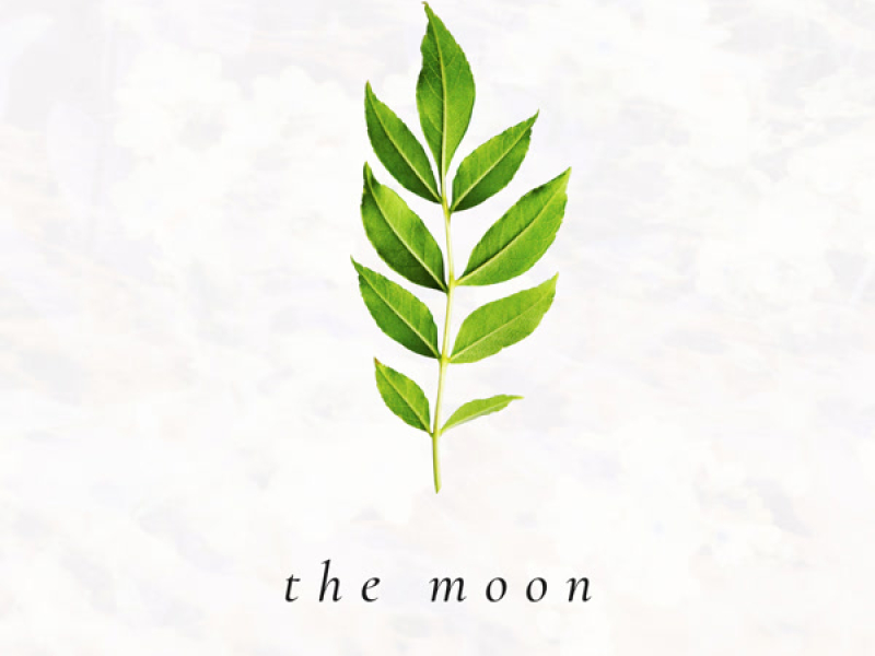 The Moon (Single)