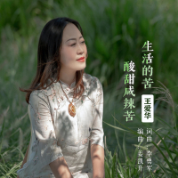 生活的苦酸甜咸辣苦 (Single)