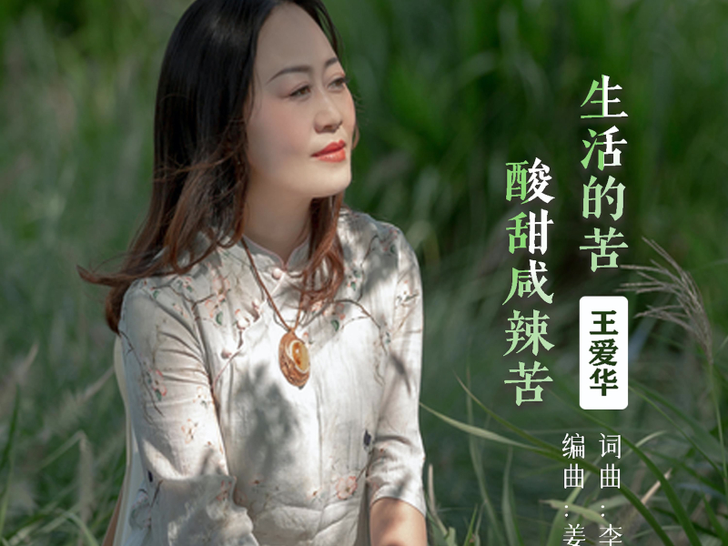 生活的苦酸甜咸辣苦 (Single)