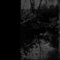 To despair of... (Single)