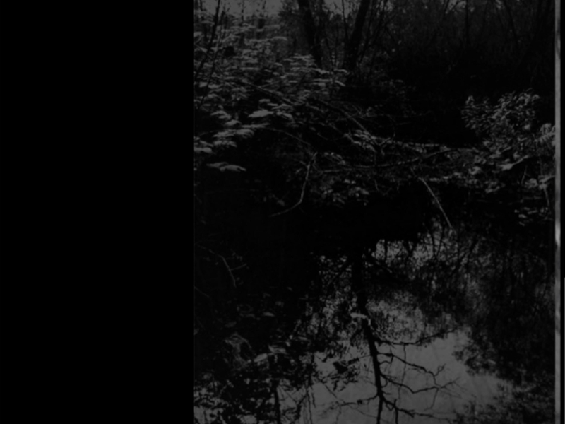 To despair of... (Single)