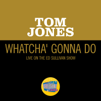 Whatcha' Gonna Do (Live On The Ed Sullivan Show, June 13, 1965) (Single)
