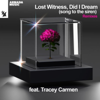 Did I Dream (Song To The Siren) (Remixes) (Single)