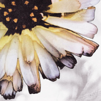 luz d limon (Single)