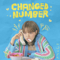 Changed Number (Single)