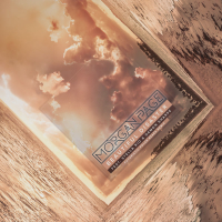 Beautiful Disaster (Futuristic Polar Bears Remix) (Single)