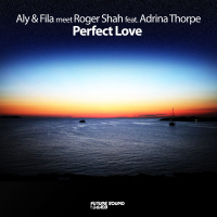 Perfect Love (Single)