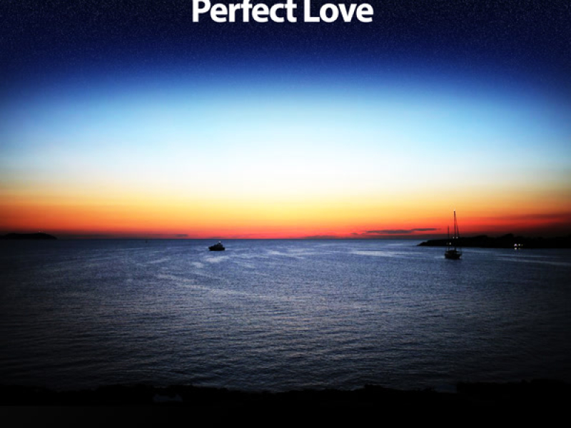 Perfect Love (Single)