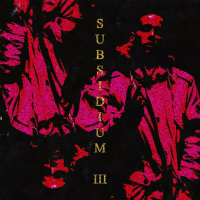 Subsidium III (Single)
