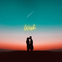 Wish (Single)