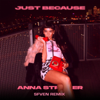 Just Because (Sfven Remix) (Single)