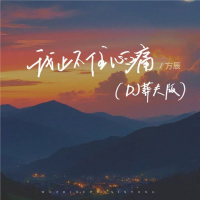我止不住心痛（DJ莽夫版） (Single)