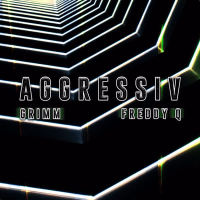 Aggressiv (Single)