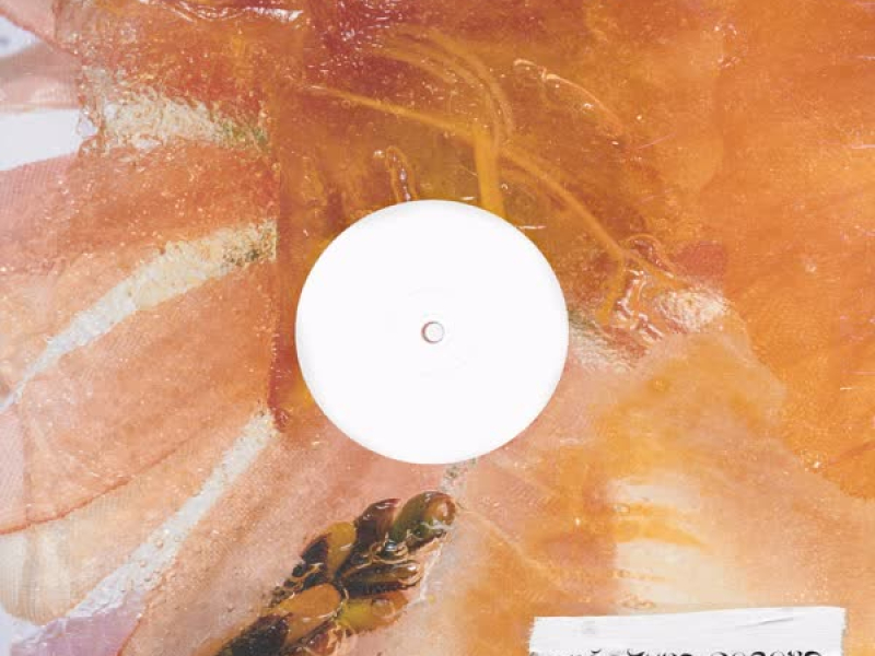 sentiments mêlés (Single)