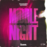 MIDDLE OF THE NIGHT (Single)