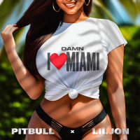 Damn I Love Miami (Single)