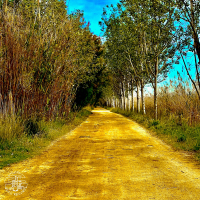 Second Nature (Single)