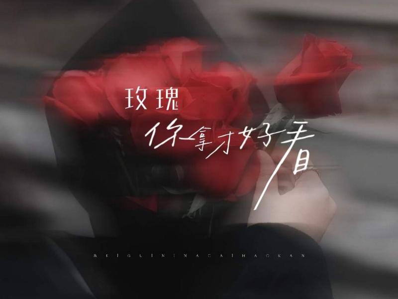 玫瑰你拿才好看 (Single)