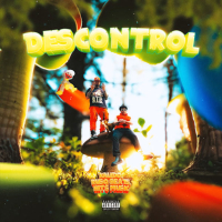 DESCONTROL (Single)