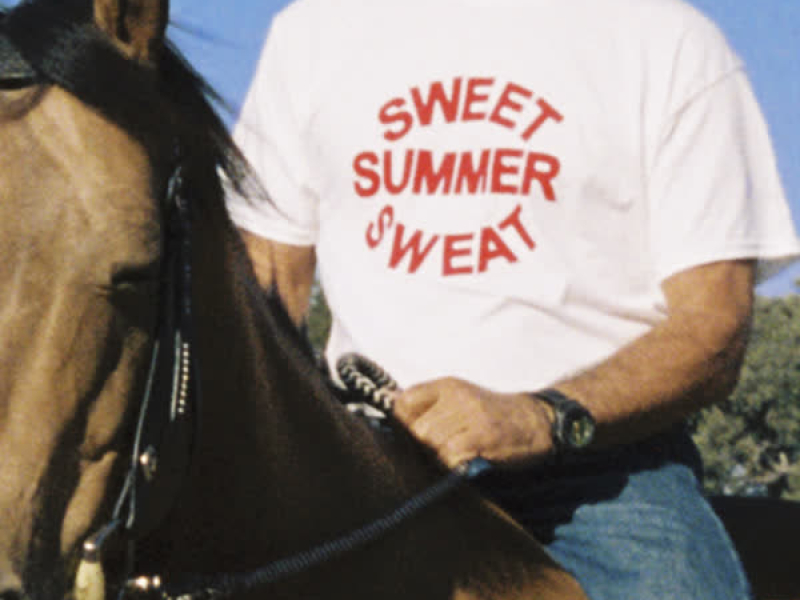 Sweet Summer Sweat (Single)