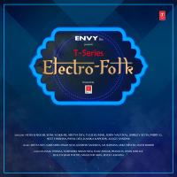 T-Series Electro Folk (EP)