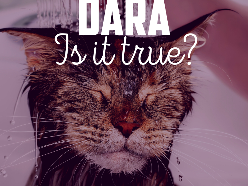 Is It True? (Single)