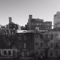 Birdwatching (Single)